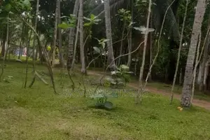 Massive 252 Perch Residential Land Katana