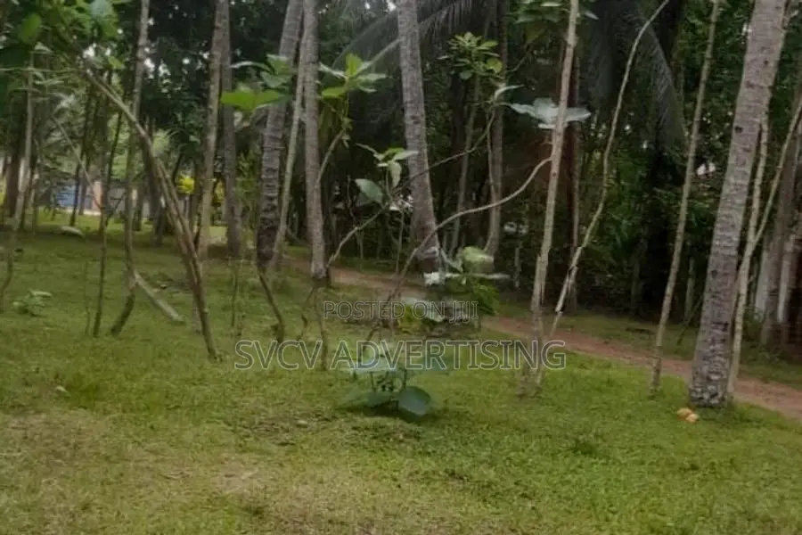 Massive 252 Perch Residential Land Katana