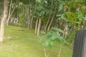 Massive 252 Perch Residential Land Katana