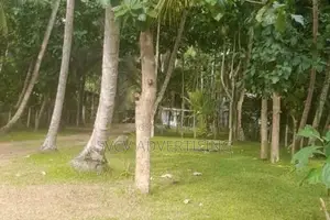 Massive 252 Perch Residential Land Katana