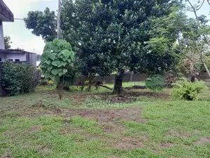 Land For Sale In Maharagama