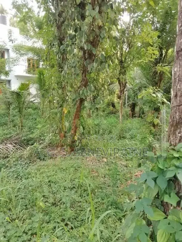 Land for Sale in Matale