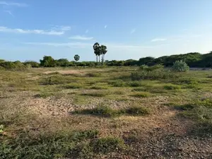 Land for Sale in Mannar