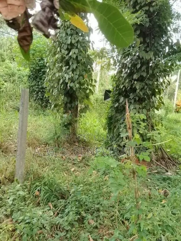 Land for Sale in Matale