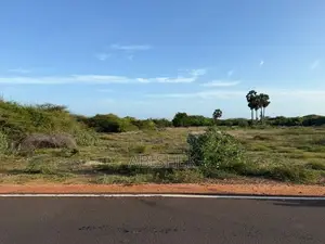 Land for Sale in Mannar