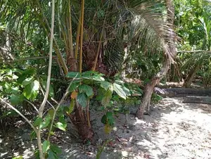 Land for Sale Batticaloa