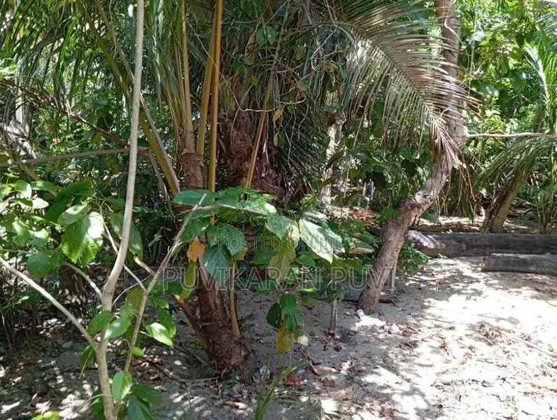 Land for Sale Batticaloa