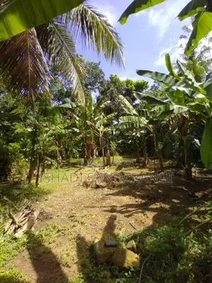 Land for Sale in Matara, Thihagoda