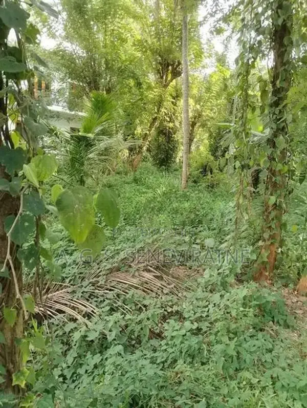 Land for Sale in Matale