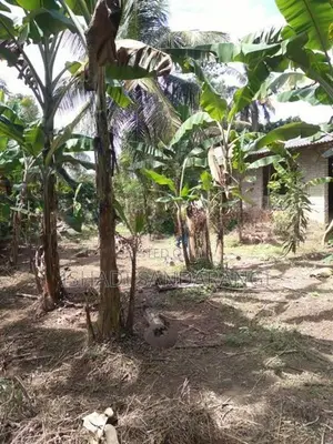 Land for Sale in Matara, Thihagoda
