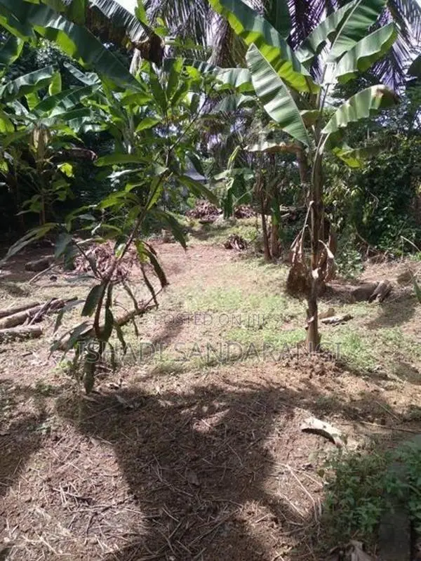 Land for Sale in Matara, Thihagoda