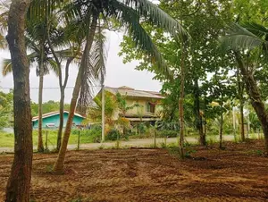 Valuable Land for Sale in Tangalle