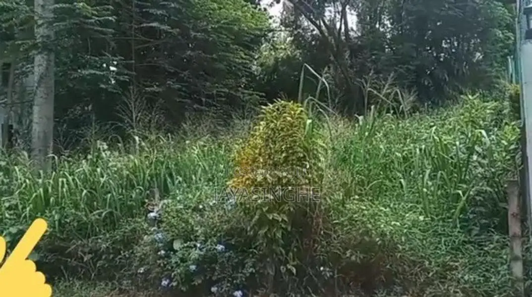 A Luxurious Land in Kundasale ,kandy