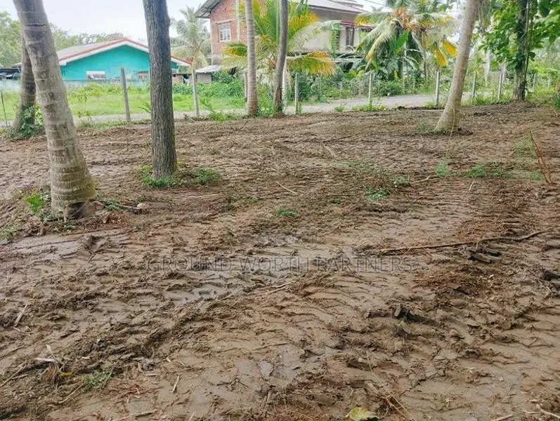 Valuable Land for Sale in Tangalle