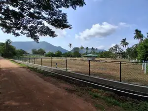 දඹුල්ල නගරසභා සීමාවෙන් සින්නක්කර බිම්කොටස් විකිණීමට