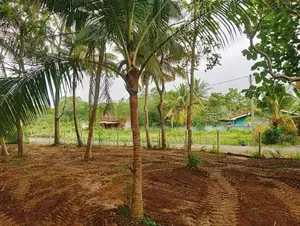 Valuable Land for Sale in Tangalle