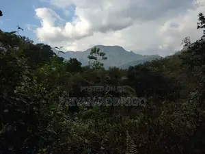 Kitulgala – Welithuduwa Road 416 Perches of Land for Sale