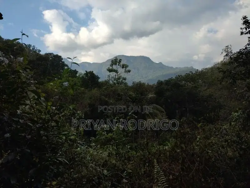 Kitulgala – Welithuduwa Road 416 Perches of Land for Sale