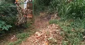 A Luxurious Land in Kundasale ,kandy