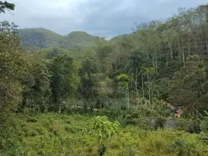 Kitulgala – Welithuduwa Road 416 Perches of Land for Sale