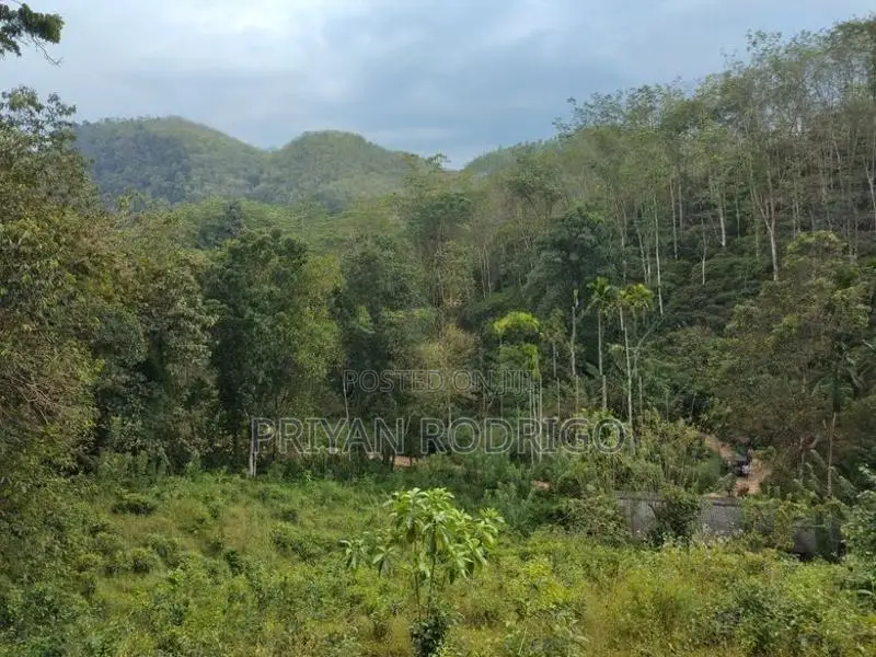 Kitulgala – Welithuduwa Road 416 Perches of Land for Sale