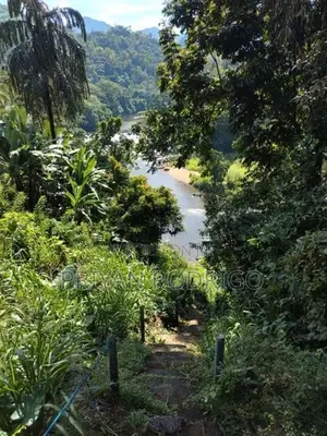 Kitulgala – Welithuduwa Road 416 Perches of Land for Sale