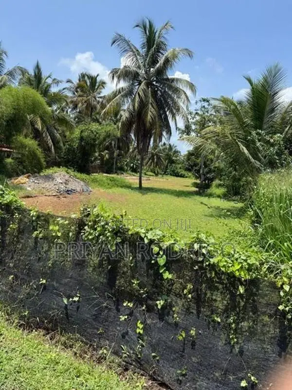 Kandana - Bopitiya Road 86 Perches of Land for Sale