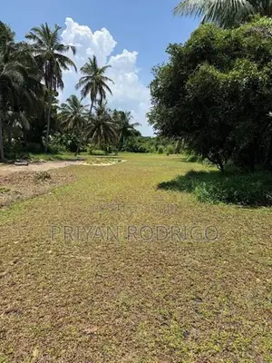 Kandana - Bopitiya Road 86 Perches of Land for Sale