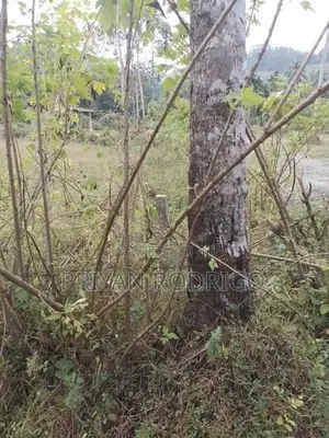 Ingiriya - Handapangoda 82+ Perches of Land for Sale