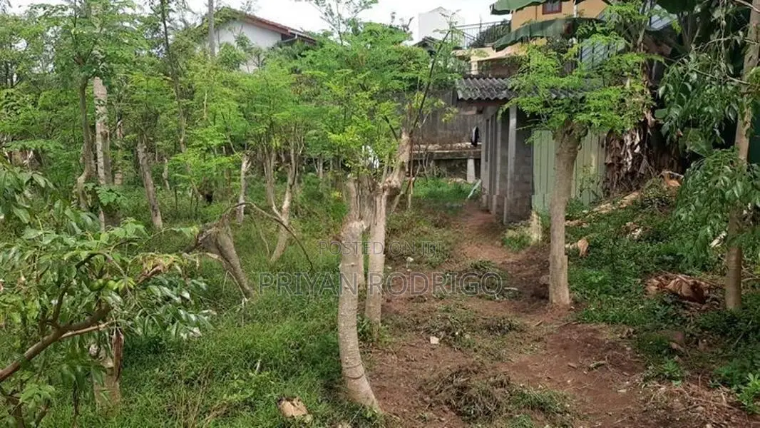 Kalubowila 30+ Perches of Land for Sale