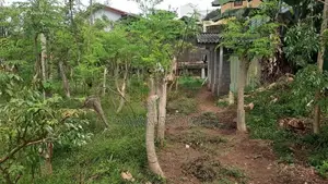 Kalubowila 30+ Perches of Land for Sale