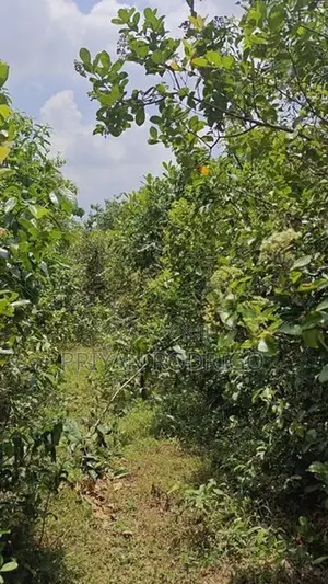 Horana - Poruwadanda 262 Perches of Land for Sale
