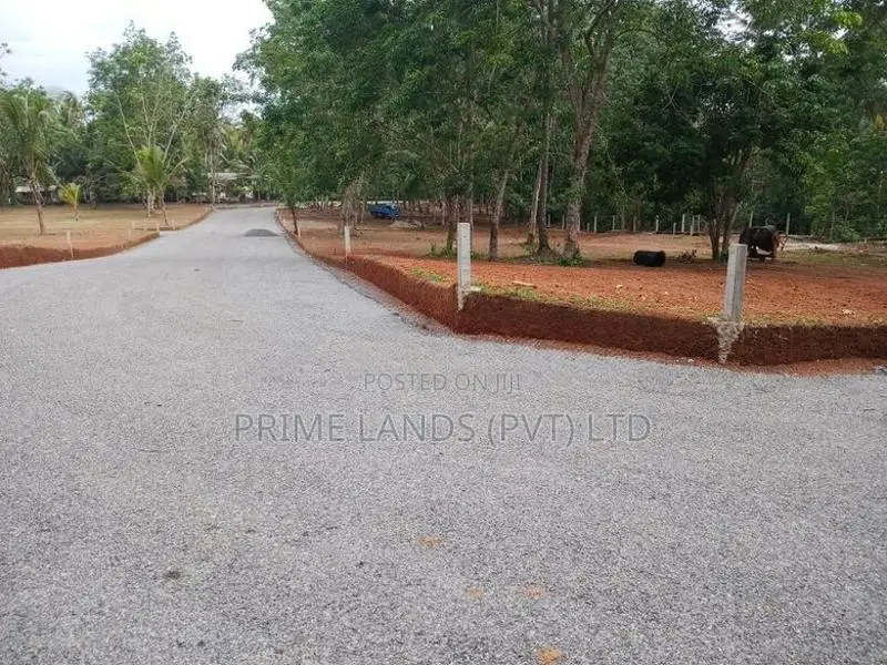 දිවුලපිටිය ගිරිඋල්ල බිම්කොටස් විකිණීමට