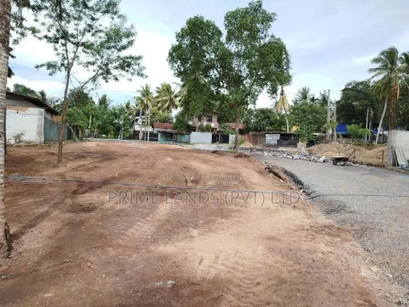 බොරලැස්ගමුව ගංගාරාම පාරෙන් බිම් කොටස් විකිණීමට
