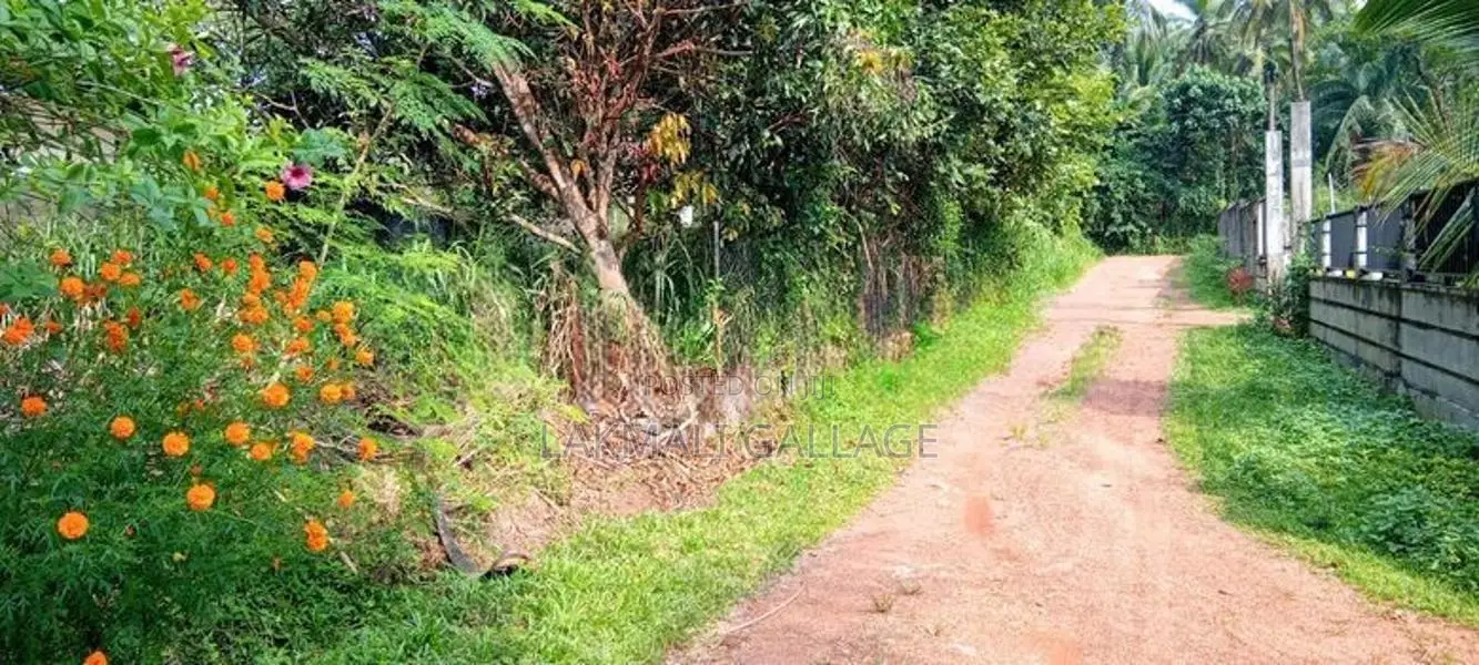 Land Sale Nittambuwa