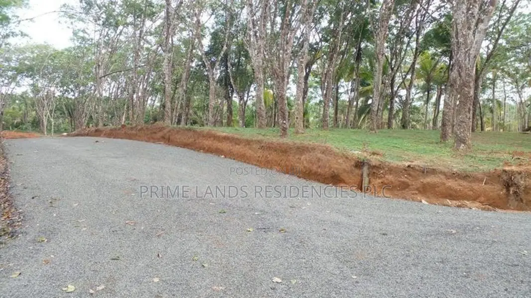 Land for Sale in Ahangama Tourism Area