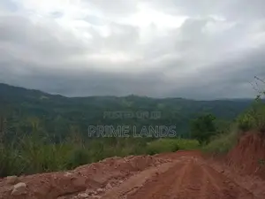 Land For Sale Nillamba