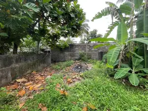 Land for Sale in Modarawila Road Panadura