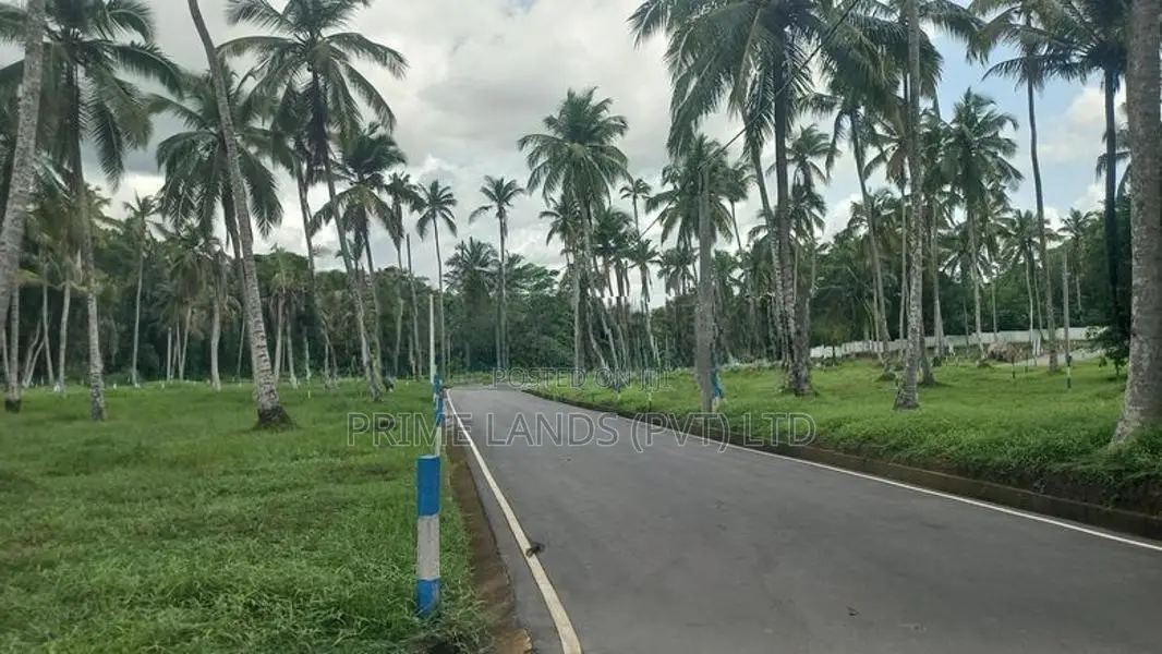 යක්කල ගමිපහ පාරට මුහුනලා සුපිරි බිම් කොටස්