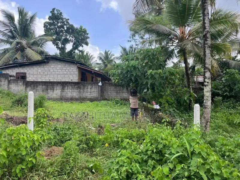 Valuable Land for Sale Galwarusawa