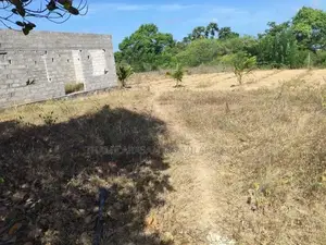Kilinochchi Land for Sale