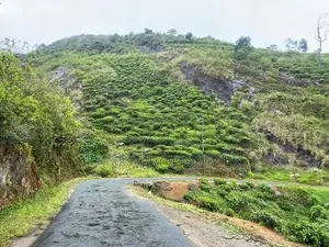 Commercial Land for Sale at Kandapola, Nuwara Eliya.