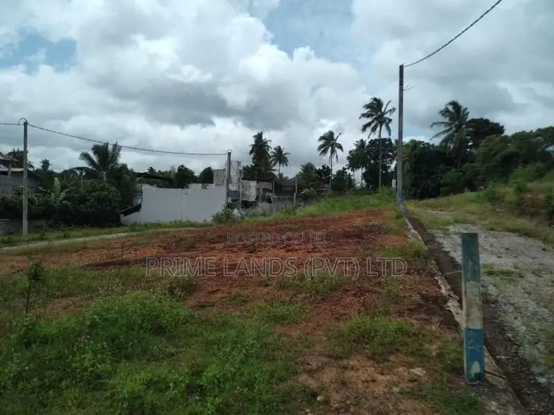 මීගොඩ ආටිගල පාරෙන් බිම් කොටස් විකිණීමට