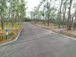 තලගල බෙරුකැටිය බිම් කොටස් විකිණීමට