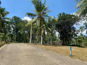 Land In Devalapola