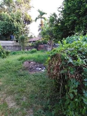 A Land for Sale at Vishakawaththa Ekala JaEla