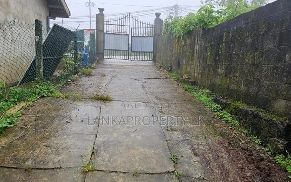 20-Perch Land for Sale at Kudaoya, Near Nuwara Eliya Town.