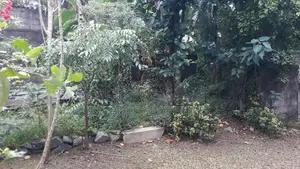 Land for Sale in Kapuwaththa Road Wijerama Nugegoda