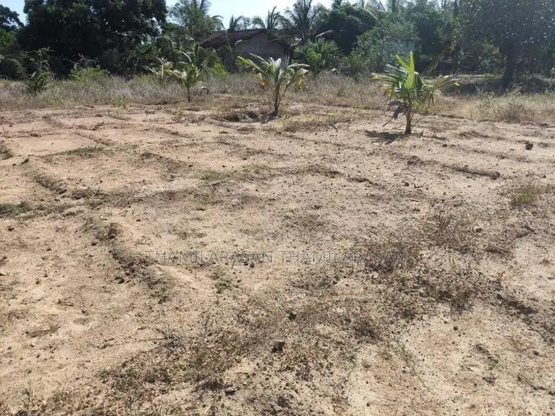 Kilinochchi Land for Sale
