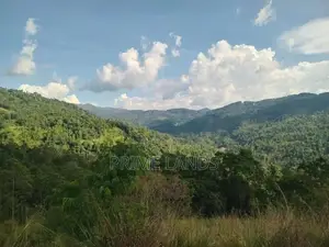 Land For Sale Nillamba